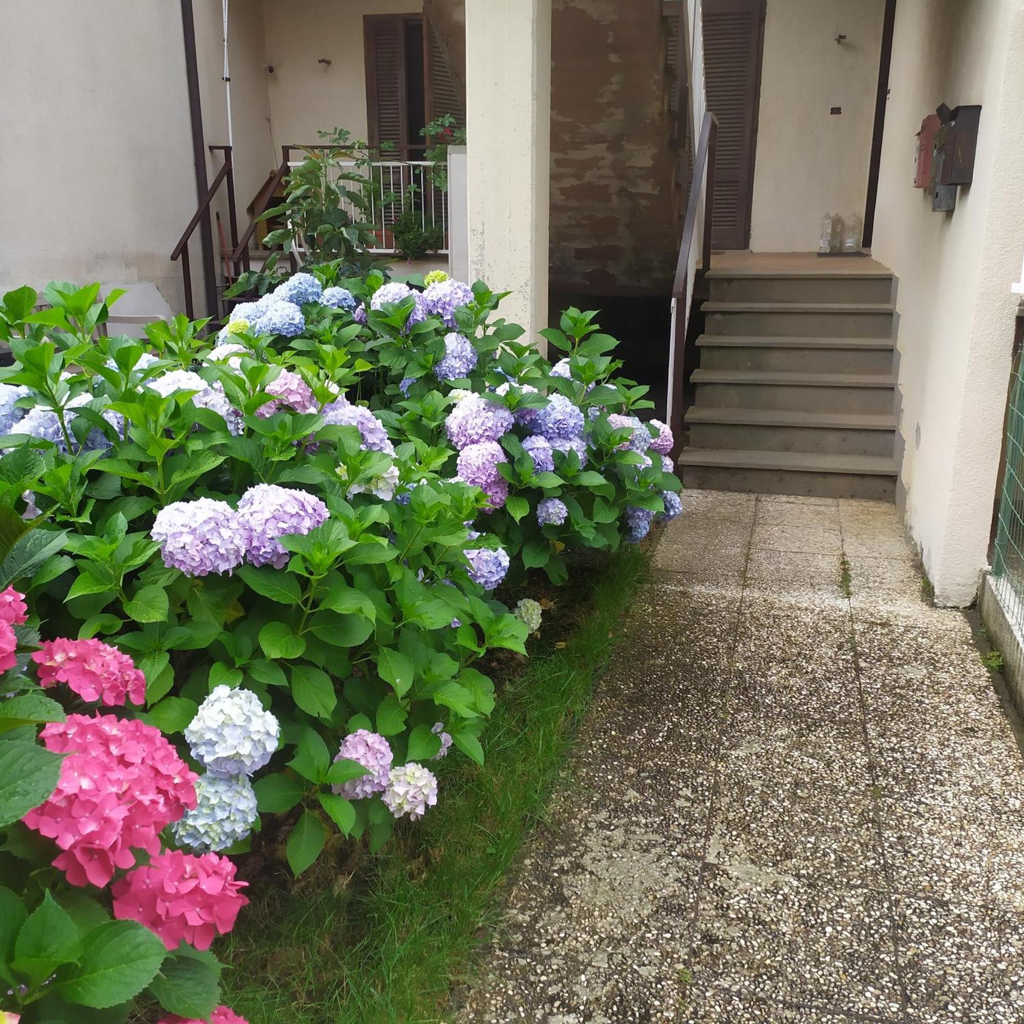 Apartment Santa Maria 볼세나 외부 사진