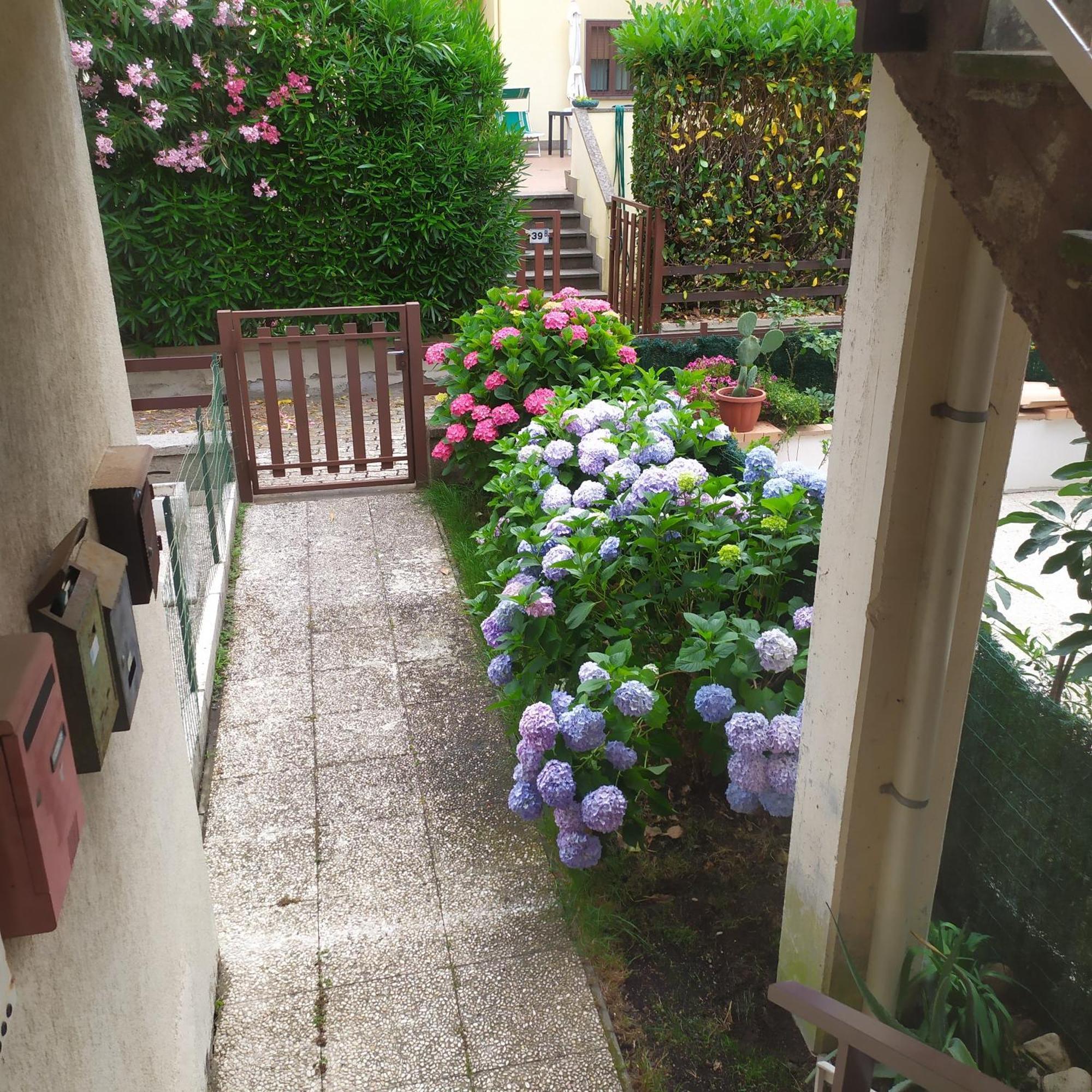 Apartment Santa Maria 볼세나 외부 사진